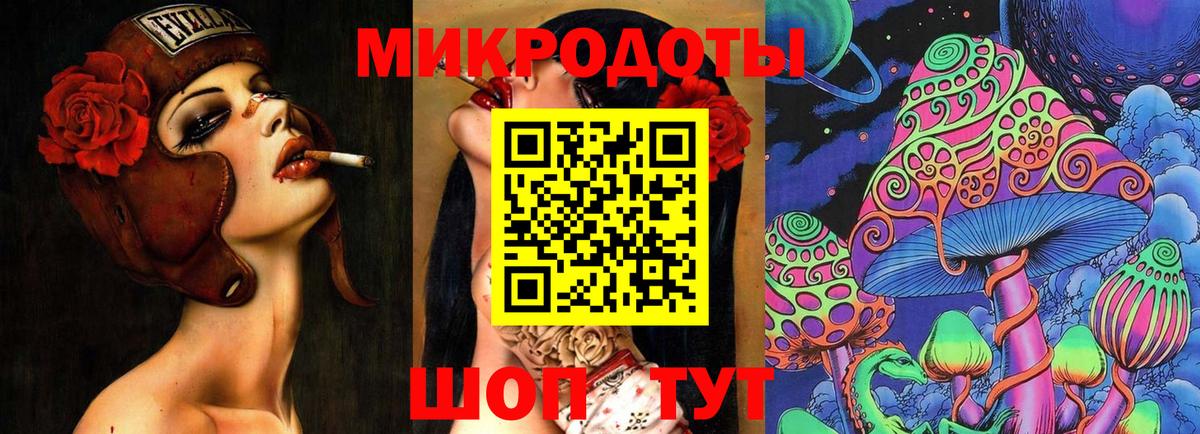 Псилоцибиновые грибы Psilocybine cubensis Воскресенск