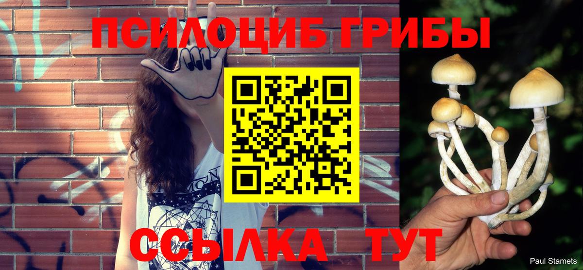 Воскресенск  Галлюциногенные грибы Magic Shrooms  где можно купить   Вход с VPN  Галлюциногенные грибы мицелий 